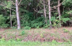 Waycross Road, Turkey, NC 28393