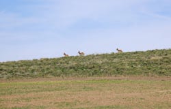 30040 Weaver Springs Rd, Burns, OR 97720