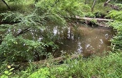 1188 Long Cane Road, Edgefield, SC 29824