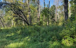 Sisson Hill Rd., Unadilla, NY 13849