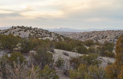 Abbe Springs Ranches Lot 115, Magdalena, NM 87825
