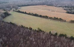 60 Acres Herzig Road, Meherrin, VA 23954