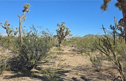 327-03-461 S Quail Drive, Dolan Springs, AZ 86441