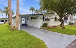 33 COCOS PLUMOSA Drive, EUSTIS, FL 32726