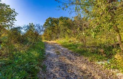 17902 St Rt 335, Jackson Twp, OH 45613