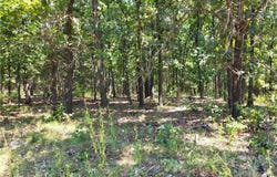 Trinchera Road, Edwards, MO 65326