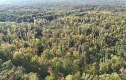 Roberts Road, Pinson, TN 38366