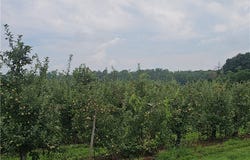 3100 Densmore Road, Albion, NY 14411