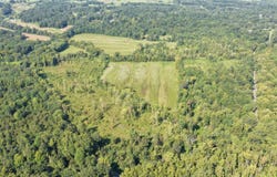 Dogtown Road, Benton, KY 42025