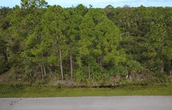 4153, 4145, and 4137 SIMS Street, PORT CHARLOTTE, FL 33981