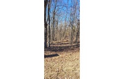 1 Eagle Shore Rd Lot 58, DOVER, TN 37058