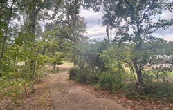 32545 Highway 8 E, Gore Springs, MS 38929