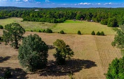 195 Parrish Branch, Bronson, TX 75930