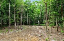 Cedar Lane lot: #3, Mendon, VT 05701