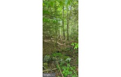 MAPLE DEL Lane, OAKLAND, MD 21550