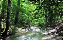 Two Brothers Road, Lindside, WV 24951