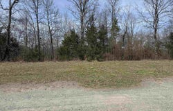 Mustang Drive lot: 49, Clinton, AR 72031