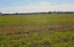 Shepherd Road, Shepherd, MT 59079