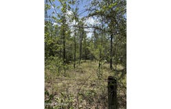 251 Heather Road, Folkston, GA 31537