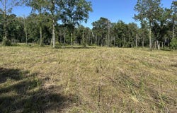 BEN BOSTICK Road, Quincy, FL 32351