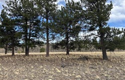 304 Brahma Circle, Hartsel, CO 80449