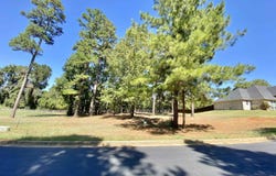 Easy St lot: 8, Frankston, TX 75763