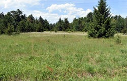 L2 B1 County Road 1, Pine River, MN 56474
