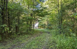 Kipp Lane lot: 21, Prattsburgh, NY 14873