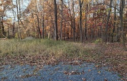 80 LIGHTNING Trail, FAIRFIELD, PA 17320