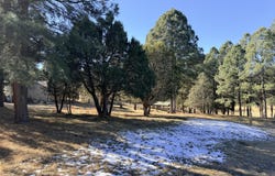 101 Bogie Lane lot: 8A, Ruidoso, NM 88345
