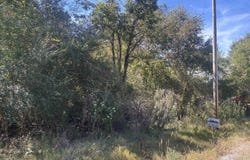 29 Iris Lane, Bridgeport, AL 35740