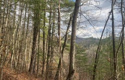 Gospel Drive, Sylva, NC 28779