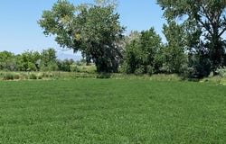 900 Calkin Road, Fallon, NV 89406