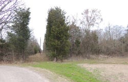 County Road 4455, Point, TX 75472