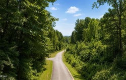 1124 Lick Creek Boat Dock Loop, Parsons, TN 38363