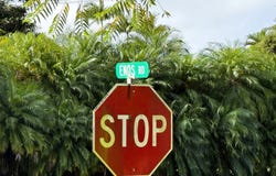 Mountain View, HI 96771