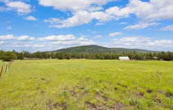 115 Marion Meadows Trail, Marion, MT 59925