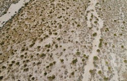 Highway 395, Pearsonville, CA 93545