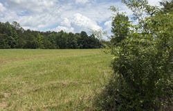 8152 CR 222, Five Points, AL 36855