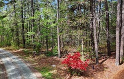Elg Road, Efland, NC 27243