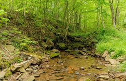 Bidwell Rd, Mill Run, PA 15464