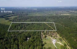 21.79 Acre Homer Ladner Road, Poplarville, MS 39470