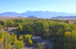 Bartlett Point Rd., Mackay, ID 83251