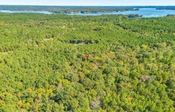 290 Retreat Way, Ridgeway, SC 29130