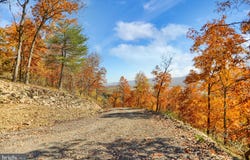 ROUTE 150, AVIS, PA 17721