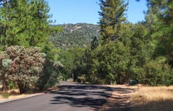 10 Timberwood Lane, Oakhurst, CA 93644