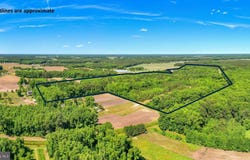 CASHER WELLS Road, PITTSVILLE, MD 21850