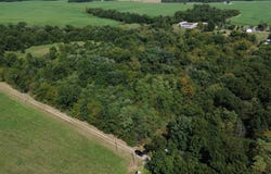 Elder Lane, Monroe City, MO 63456