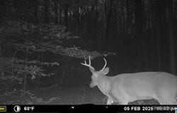 #1 HIGHWAY 55 lot: 1, STERRETT, AL 35147