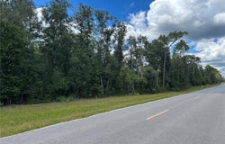 CR 337, MORRISTON, FL 32668